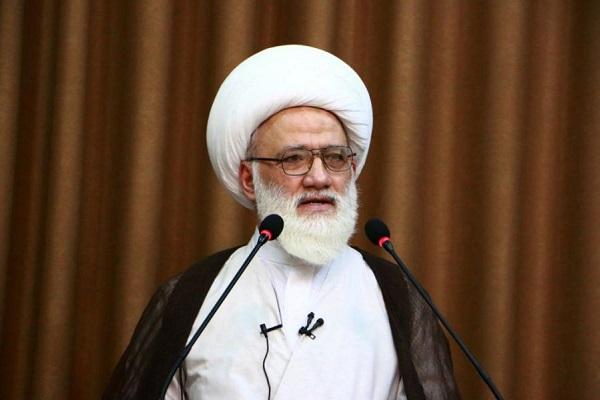 تجلیل آیتالله یعقوبی از کادر پزشکی مستقر در مسیر اربعین